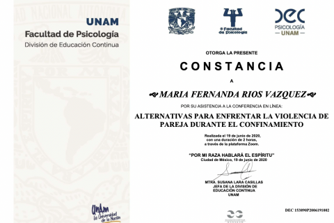 UNAM - Alternativas para enfrentar ls violencia de pareja durante el confinamiento