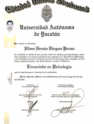 Titulo-Ulises-Verguez-psicologo-en-linea-en-mexico Titulo-Ulises-Verguez-psicologo-en-linea-en-mexico
