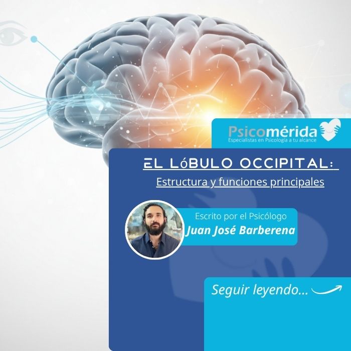 portada lobulo occipital