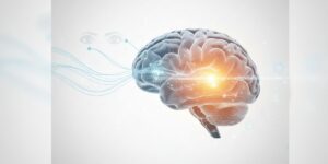 El lóbulo occipital